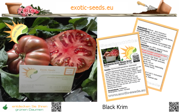 Tomate * Black Krim *  20 Samen